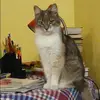 Отзыв от Анфиса Тимофеева